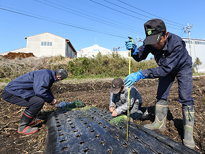 建築資材を農業資材に